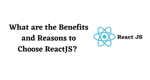 ReactJs development