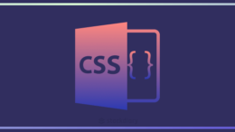 CSS