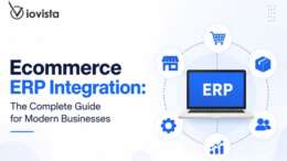 Ecommerce ERP Integration
