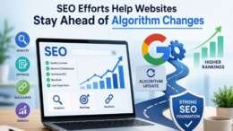 SEO Efforts