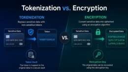 Tokenization vs. Encryption
